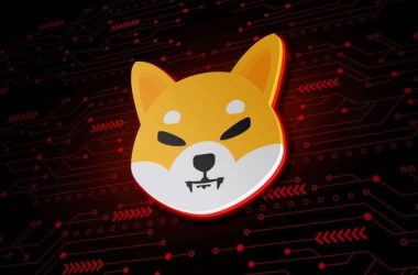 Shiba Inu