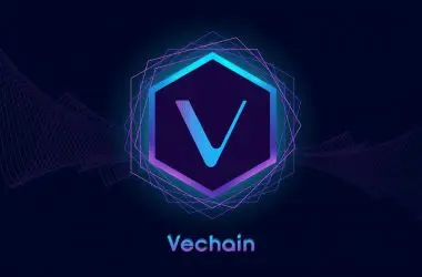 vechain vet