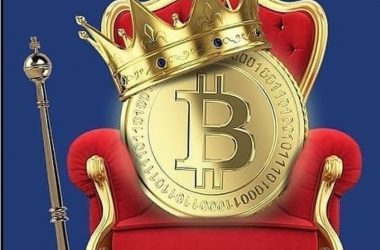 bitcoin cryptocurrency btc king