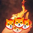 Shiba Inu