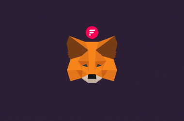 How to Add Flare Network to MetaMask?