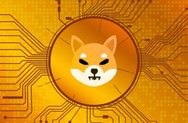 Shiba Inu