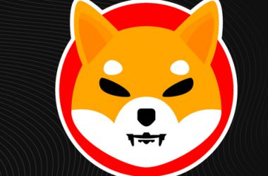 Shiba Inu