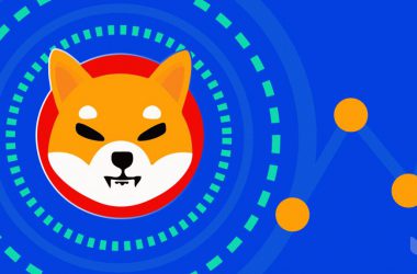 Shiba Inu
