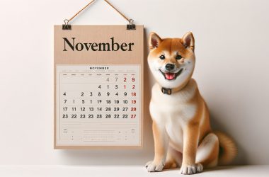 Shiba Inu