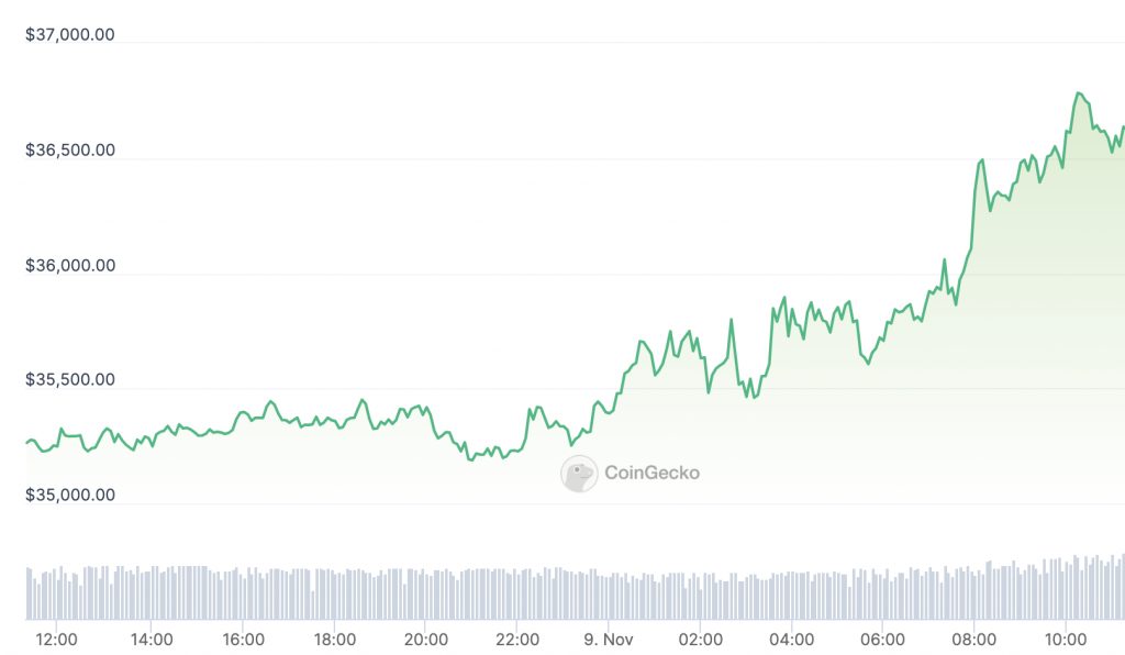 fmcpay-this-week-see-approval-12-bitcoin-etf-filings