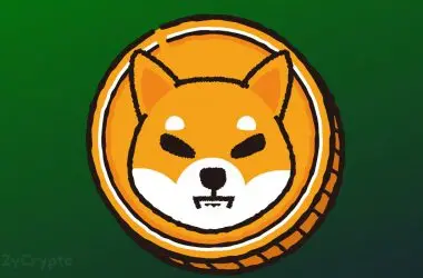 Shiba Inu