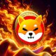 Shiba Inu SHIB Token Burn