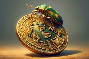 What is the Bitcoin Overflow Bug?