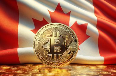 Canadian Exchange CatalX Halts Trading Amid Security Breach