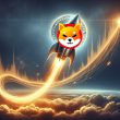 shiba inu price rise shib rocket