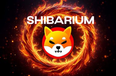 shiba inu shibarium burns