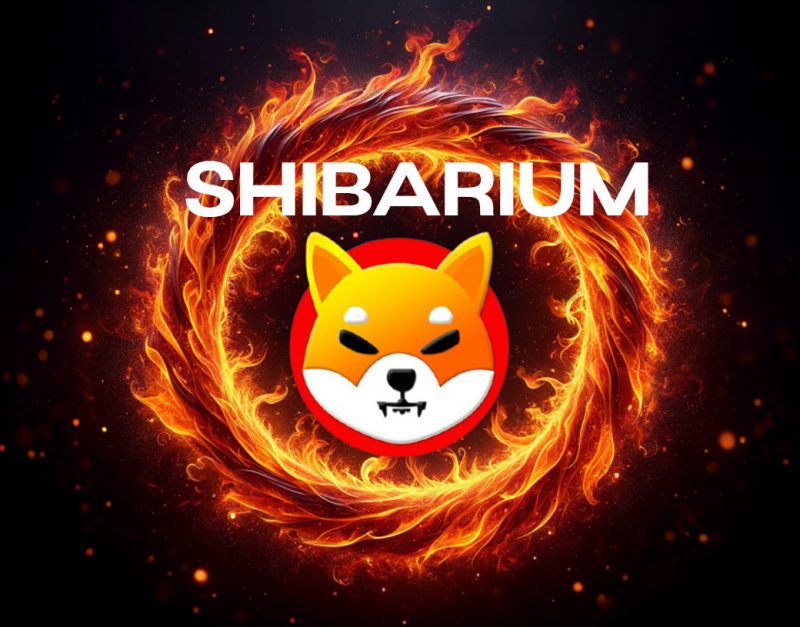 shiba inu shibarium burns