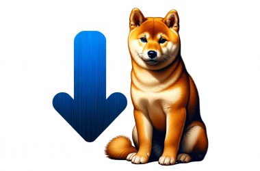 Shiba Inu