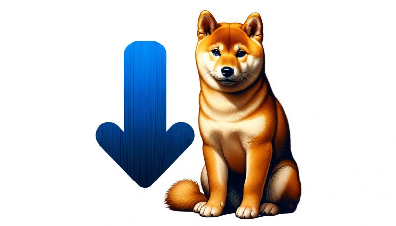 Shiba Inu