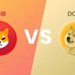Shiba Inu or Dogecoin: Which Meme Coin To Buy For 10X Gain?