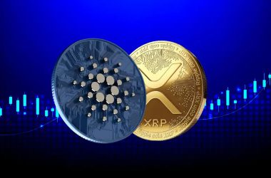 Ripple (XRP) or Cardano (ADA): Which Coin Will Hit $1 in January 2024?