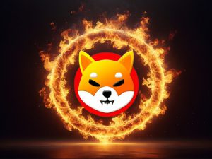 shiba inu shib burns shibarium fire