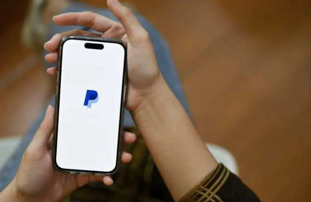 What Stores Accept PayPal?