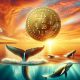 bitcoin btc whales