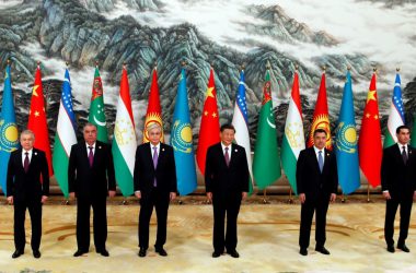 china asian leaders brics countries flags