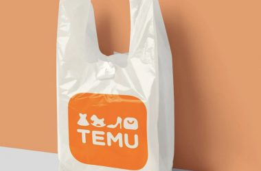 How Long Does Temu Shipping Take?