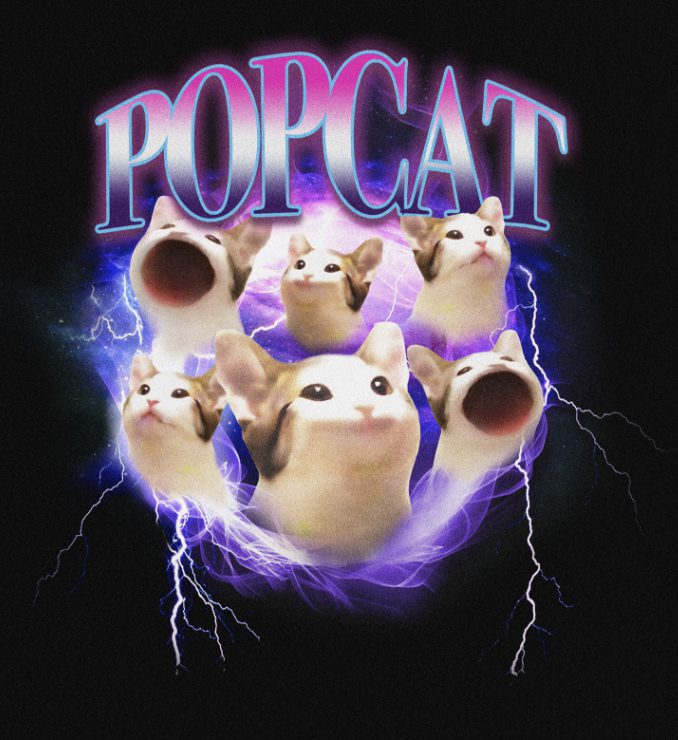 Memecoin Popcat چیست؟