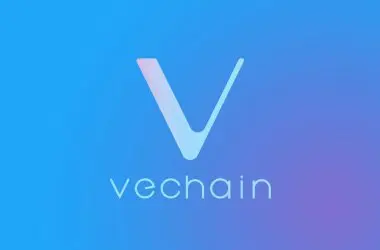 Vechain-vet
