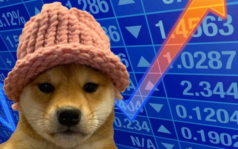 dogwifhat wif cryptocurrency meme coin