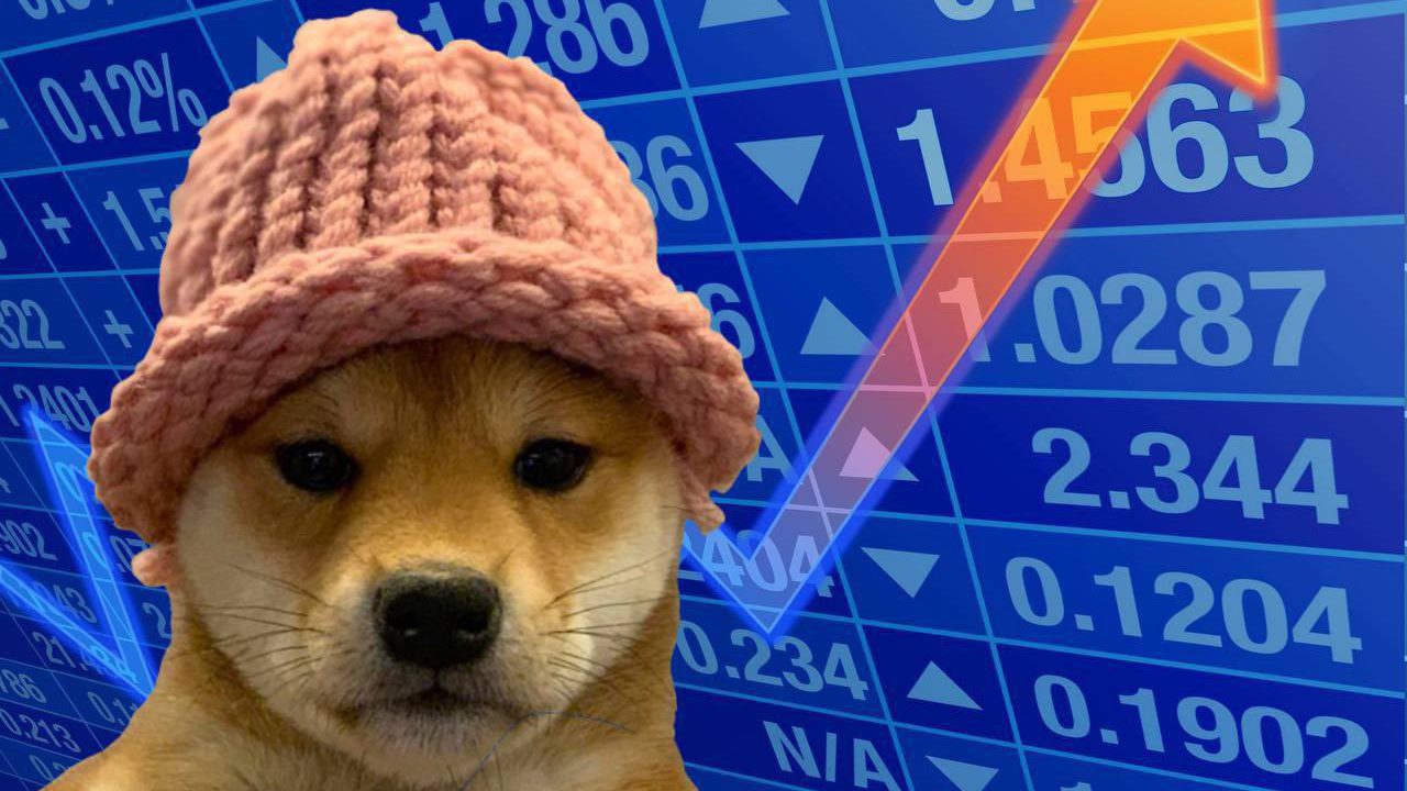 Dogwifhat: Can WIF Hit $5 Now That Musk Knows About The SOL Meme Coin?