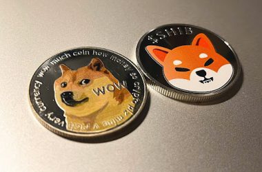 shib doge shiba inu dogecoin