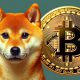 shiba inu bitcoin btc shib cryptocurrency halving