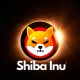 shiba inu space eclipse moon