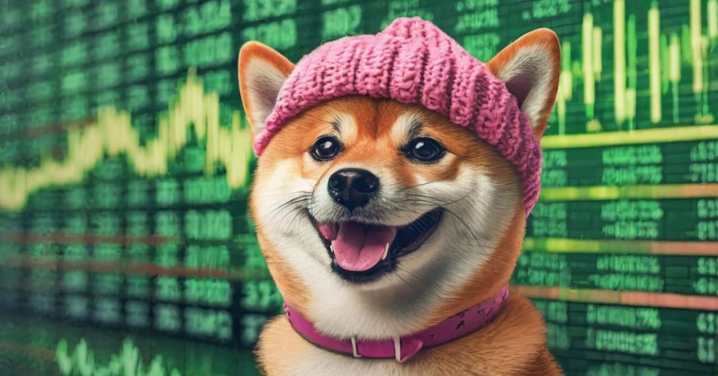Hondenhoedje met cryptocurrency