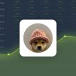 Dogwifhat