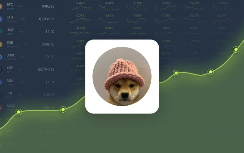 Dogwifhat
