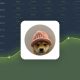 Dogwifhat
