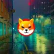 shiba inu shib street lights