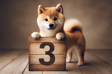 Shiba Inu Forecasted To Reach 3 Cents: Here’s When