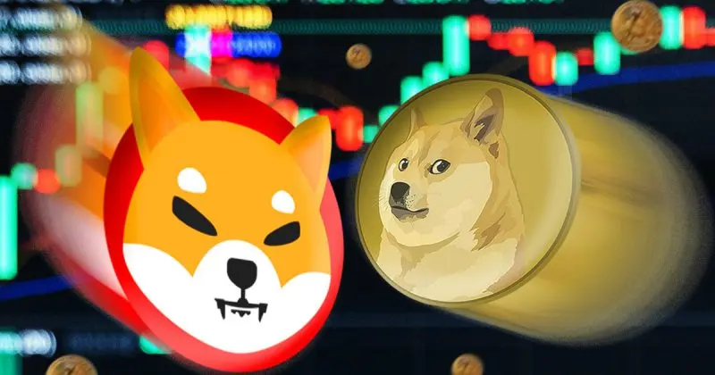 Shiba Inu Dogecoin