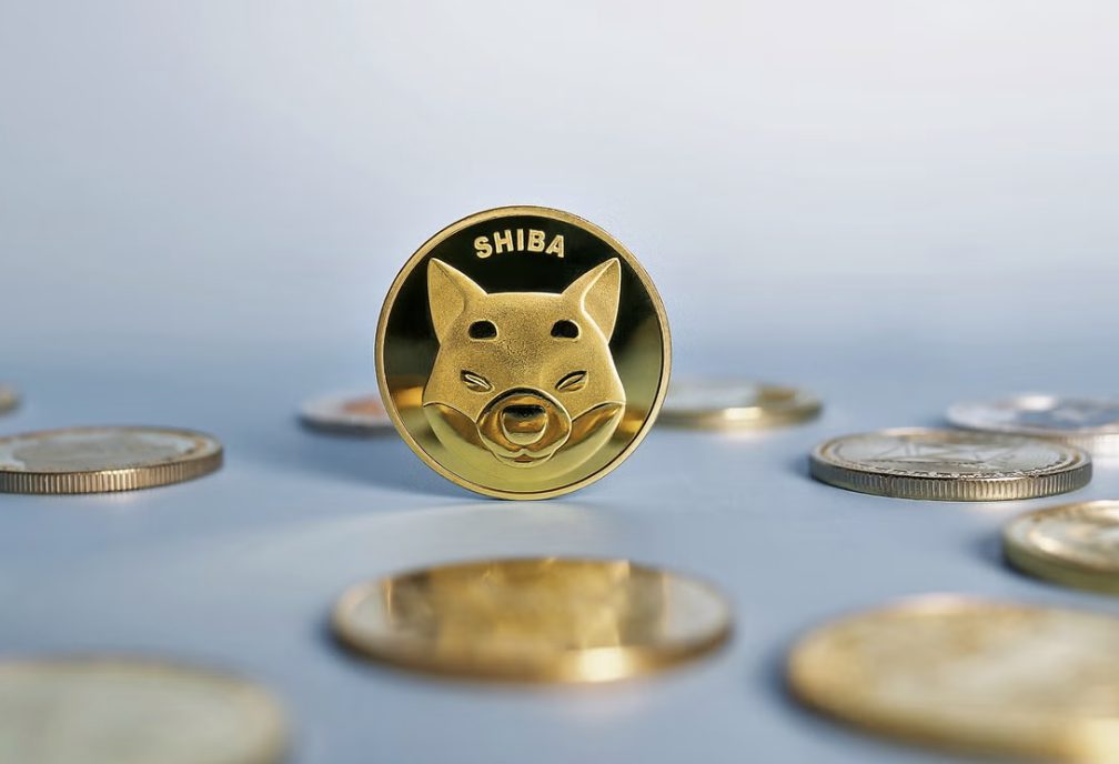 How to Stake Shiba Inu in 2024?