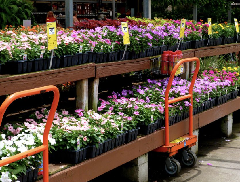 Does Home Depot Sell Flowers?
