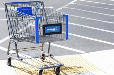 How Much Does a Shopping Cart Cost?