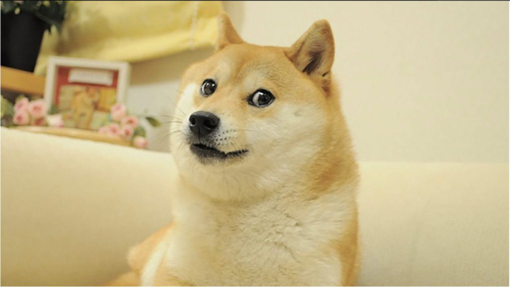 Shina Inu SHIB Dogecoin DOGE kabosu chó