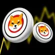 Shiba Inu