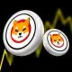 Shiba Inu