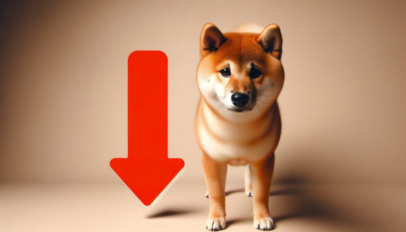 Shiba Inu