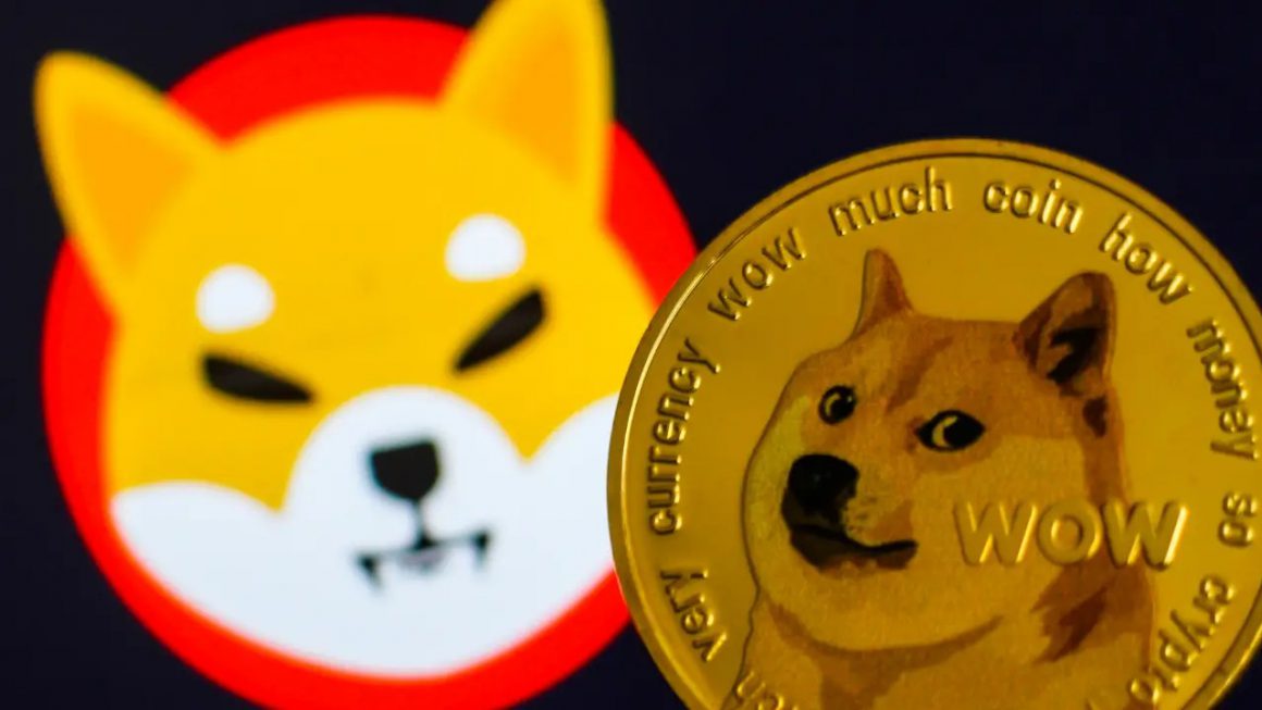 Shiba Inu Gains Momentum SHIB Set To Outpace Dogecoin In 2025