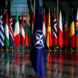 NATO member countries flags on display