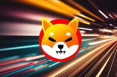 shiba inu bokeh lights shib